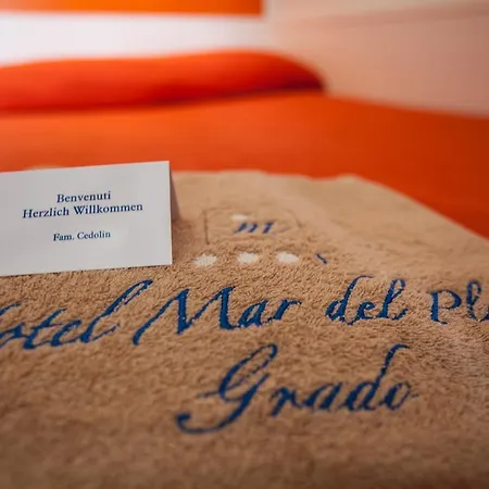 Mar Del Plata מלון