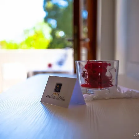 מלון Mar Del Plata 4*