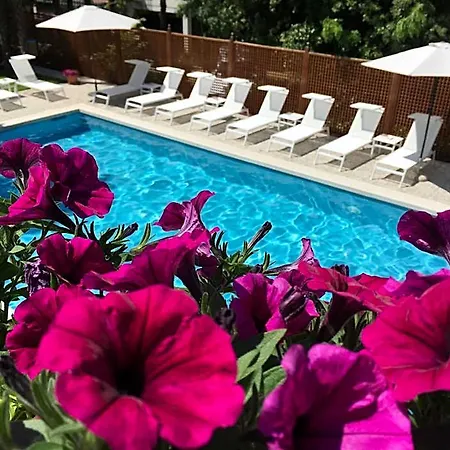 Отель Mar Del Plata 4*