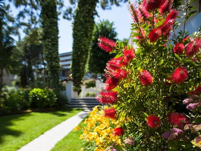 Mar Del Plata Hotel 4*