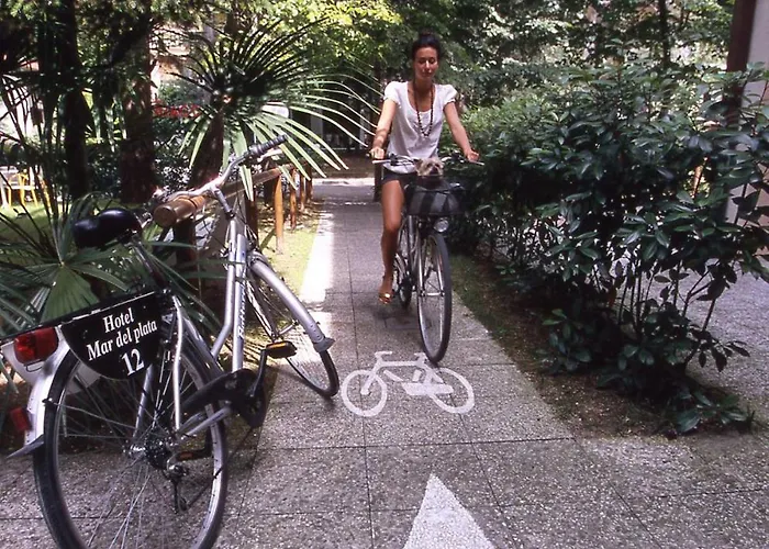 Hotel Mar Del Plata 4*