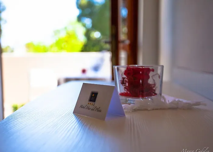 Hotel Mar Del Plata 4*